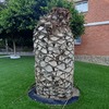 Talar árboles