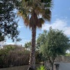 Otros Trabajos De Jardinería