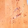 Restauración de zona de parquet quemada