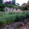 Desbrozar finca