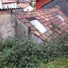 Desbrozar Jardín