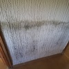 Pintar Interior De Vivienda