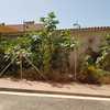 Realizar Derribo