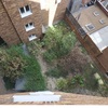 Poner terrazo y crear dos cuartos en zona ajardinada