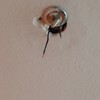 Colgar 2 lamparas - una en habitación principal y una en el dormitorio