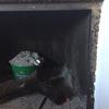 Reformar Chimenea