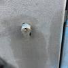 Cambiar bombin puerta de contadores gas