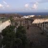 Realizar Derribo