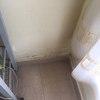 Reparar humedad pared cocina ( jardinera)