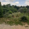 Desbrozar Jardín
