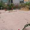 Desbrozar Jardín