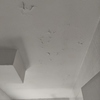 Pintar Interior De Vivienda