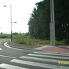 Poda setos en altura