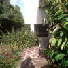 Limpieza de jardin