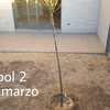 Cesped Artificial
