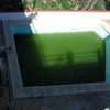 Alicatado de Piscina