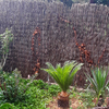 Instalar Cercados de malla o similar