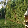 Otros Trabajos De Jardinería