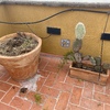 Otros Trabajos De Jardinería