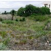 Desbrozar Jardín