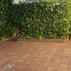 Hacer puesta a punto de jardín