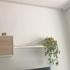 Pintar Interior De Vivienda