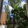Otros Trabajos De Jardinería