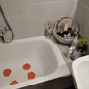 Cambiar Bañera Por Ducha