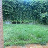 Otros Trabajos De Jardinería