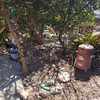 Otros Trabajos De Jardinería