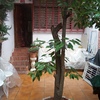 Construir Muro