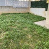 Desbrozar Jardín