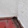 Impermeabilizar Vivienda o Local