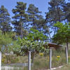 Desbrozar Jardín