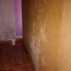 Pintar Interior De Vivienda