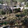 Desbrozar Jardín