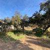 Movimiento de Tierras