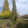 Hacer puesta a punto de jardín