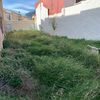 Desbrozar Jardín