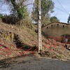 Construir Muro
