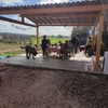 Instalar Toldo Vivienda