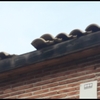 Pequeña Reforma Tejado Casa (Unifamiliar)