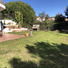 Hacer puesta a punto de jardín