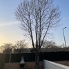Otros Trabajos De Jardinería