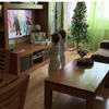 Lacar Muebles