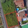 Desbrozar Jardín