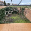 Otros Trabajos De Jardinería