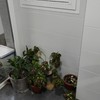 Cambiar Fontanería Cocina o Baño