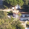 Talar árboles