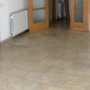 Pulir Suelo Vivienda (Parcial)